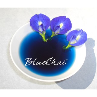 Trà hoa đậu biếc Thái Lan