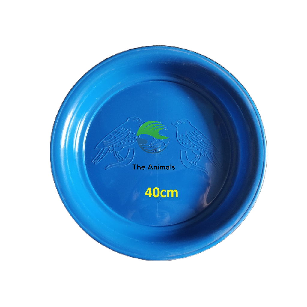 Khay Hứng Phân Cho Chim (40cm)