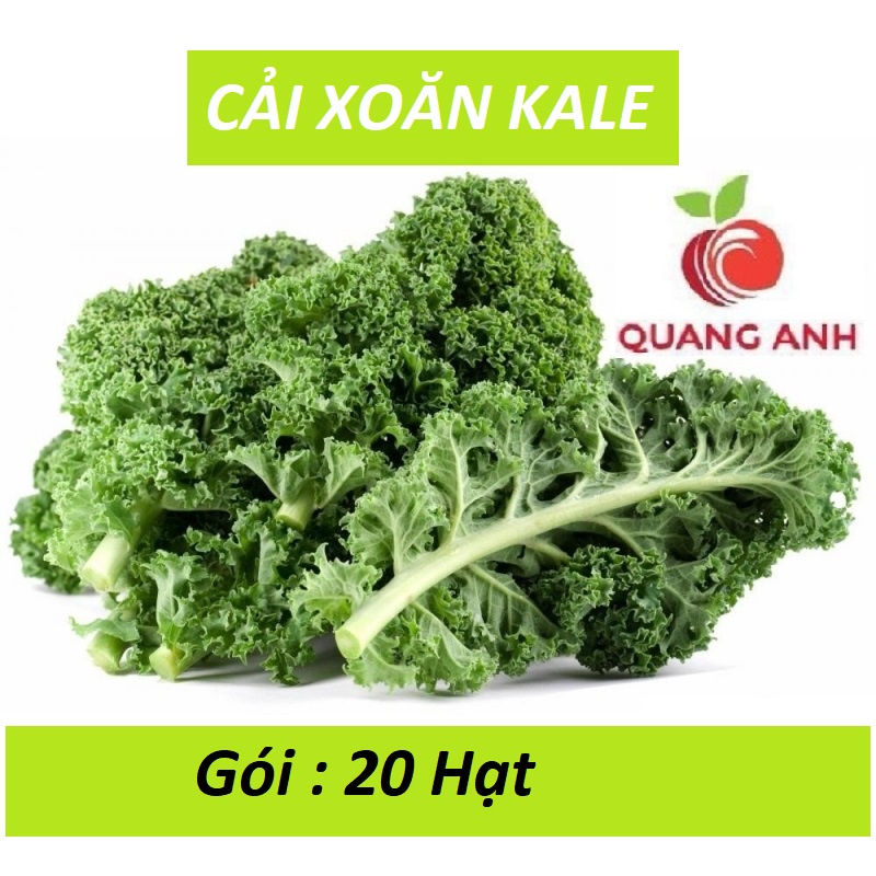 [FreeShip] 20 Hạt Giống Cải Xoăn Kale - Nhập Khẩu Mỹ