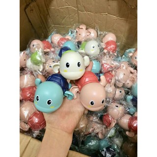 Rùa bơi bằng dây cót.
