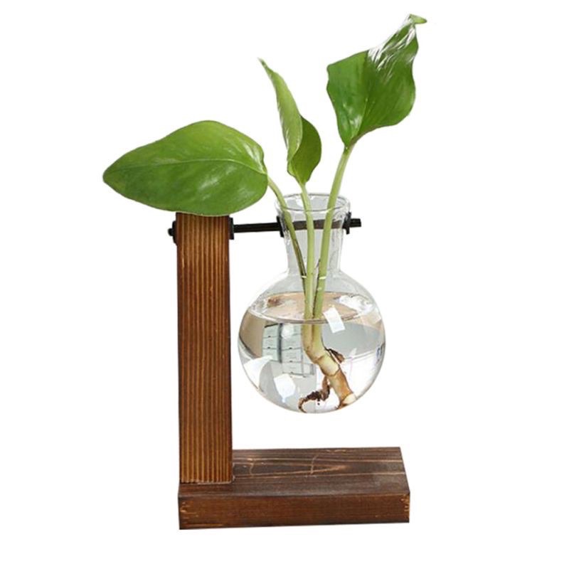 Set chậu trồng cây chốn văn phòng mang cả thiên nhiên vao trong cty hay nhà
