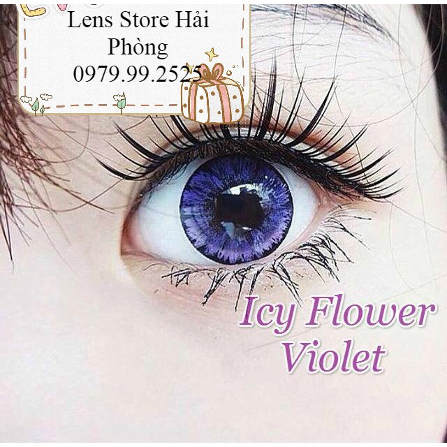 LENS VASSEN VIOLET HẠN DÀI