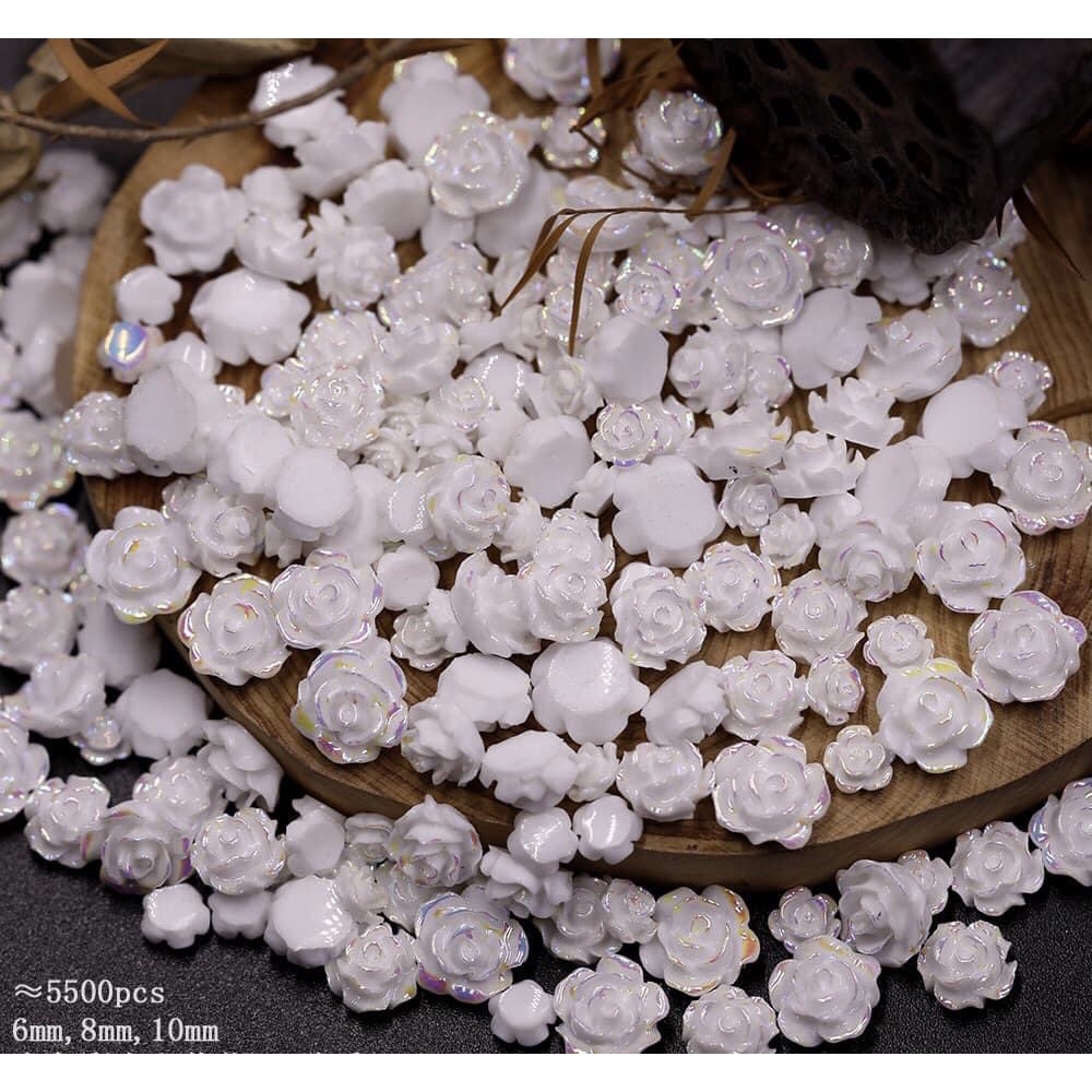 Set hoa hồng nhiều size đính móng