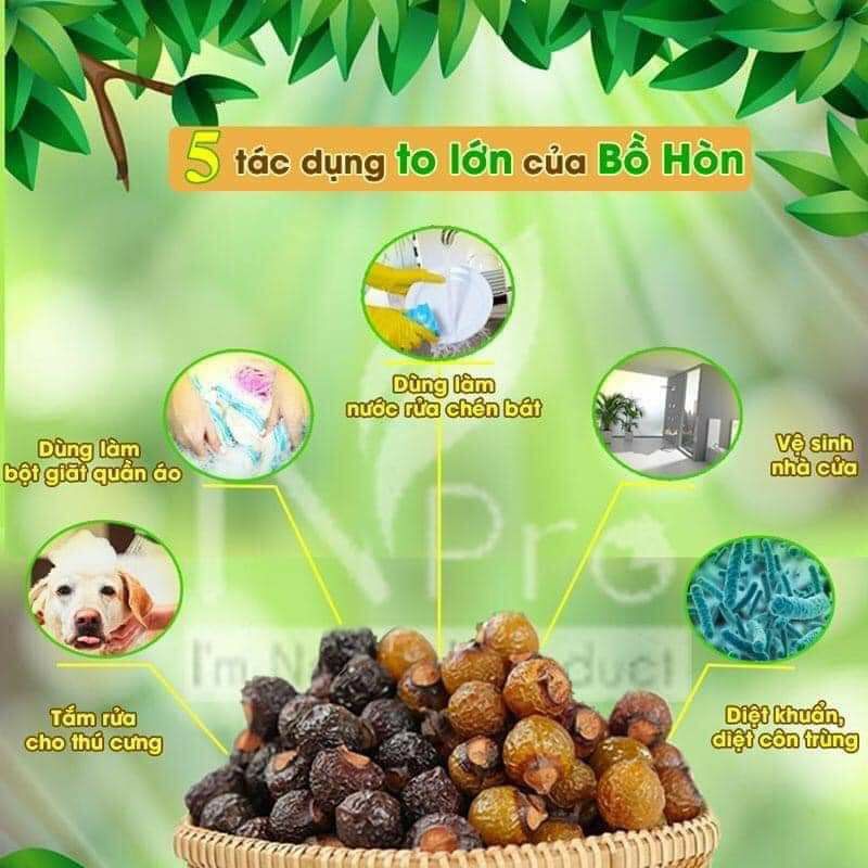 QUẢ BỒ HÒN LOẠI 1 (5OOG) KÈM HDSD