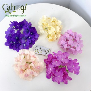 Đầu bông cẩm tú cầu