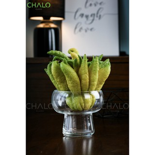 Ly phật thủ 13 miệng trơn - 11cm x 12cm