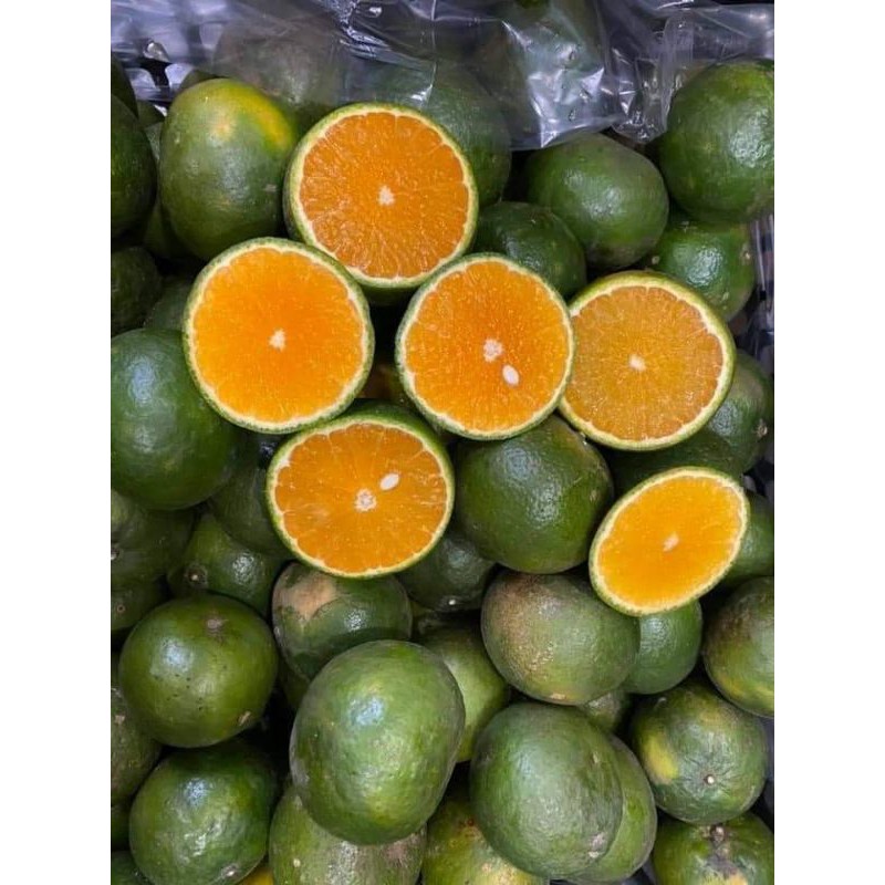 cam sành Vĩnh Long 1kg