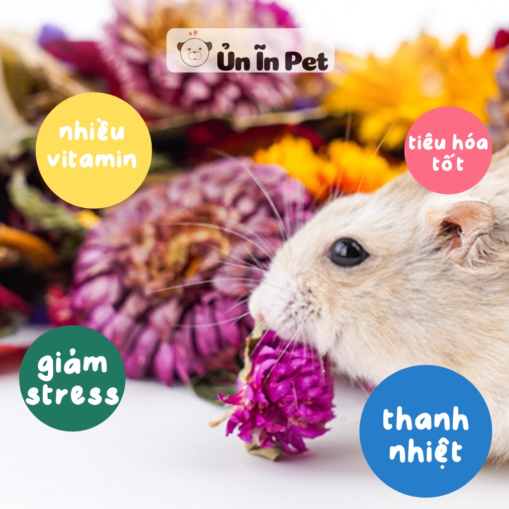 Đồ ăn cho hamster HOA KHÔ JONSANTY thanh nhiệt, giảm stress