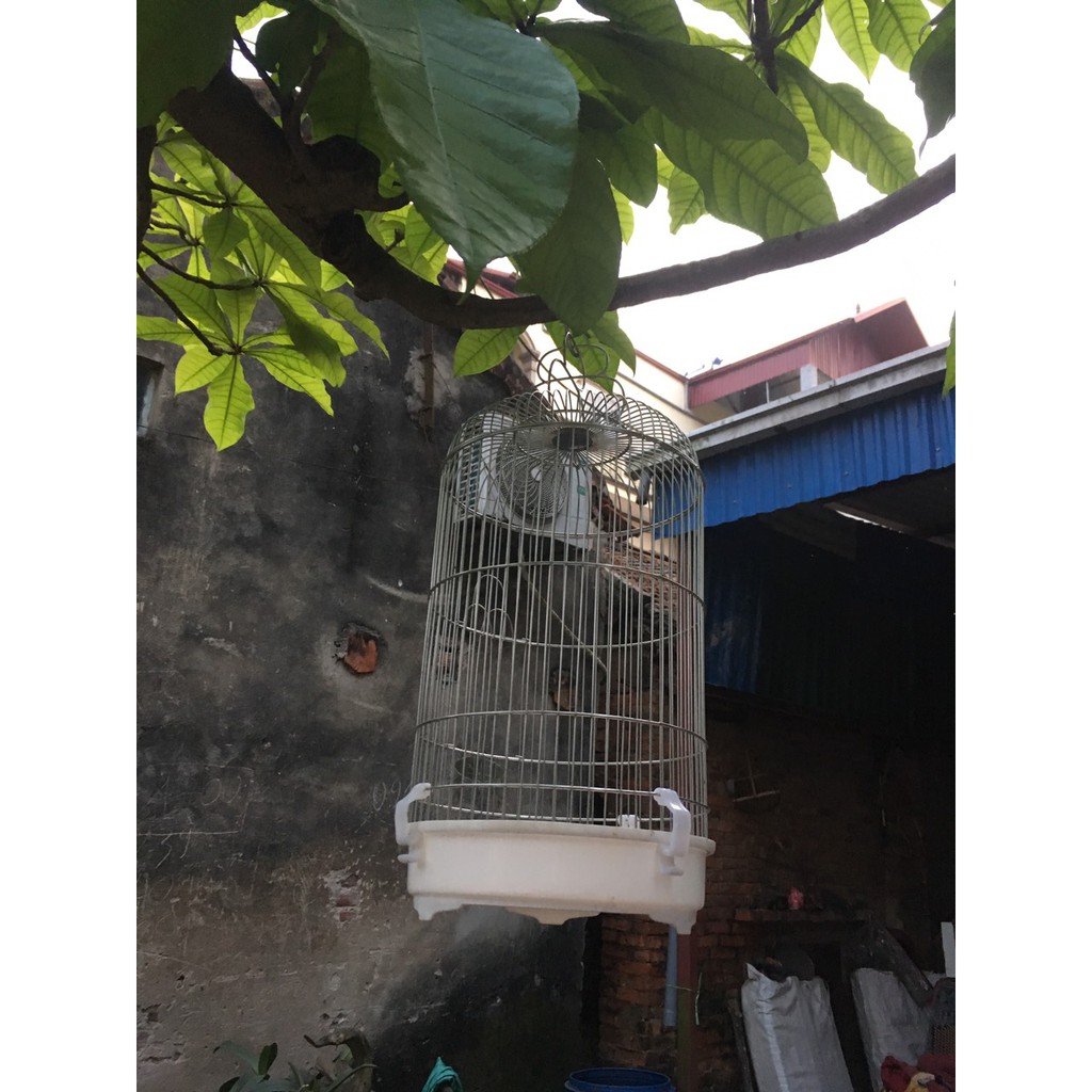 LỒNG CHIM KHUYÊN INOX CAO CẤP _ BỀN_RẺ_ ĐẸP tặng 2 pk ăn uống