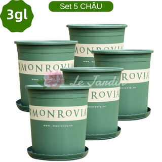 Set 5 chậu trồng cây monrovia 3gl chính hãng Trung Quốc