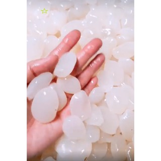 Hạt đác tươi - 1kg