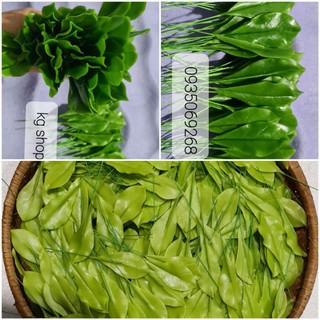 Combo lá mai, nụ mai đất sét
