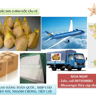 Dừa sáp Cầu Kè loại đặc biệt