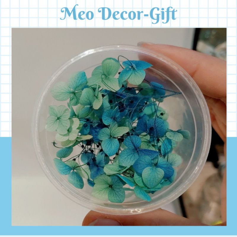 Hoa khô cẩm tú cầu làm resin- nail- nến thơm- make up cô dâu