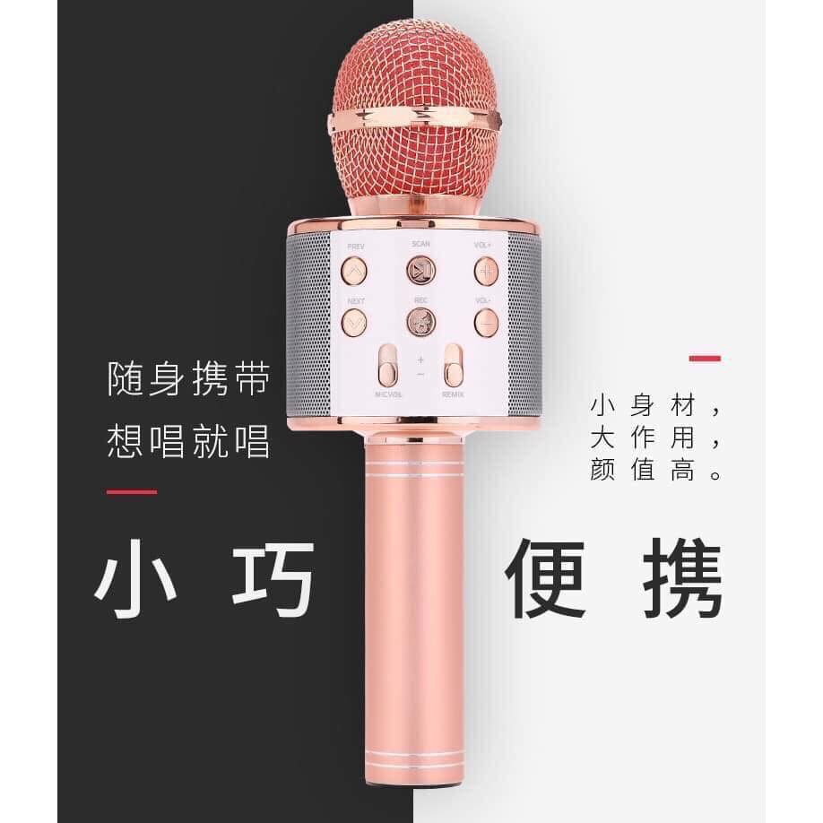 Mic hát karaoke