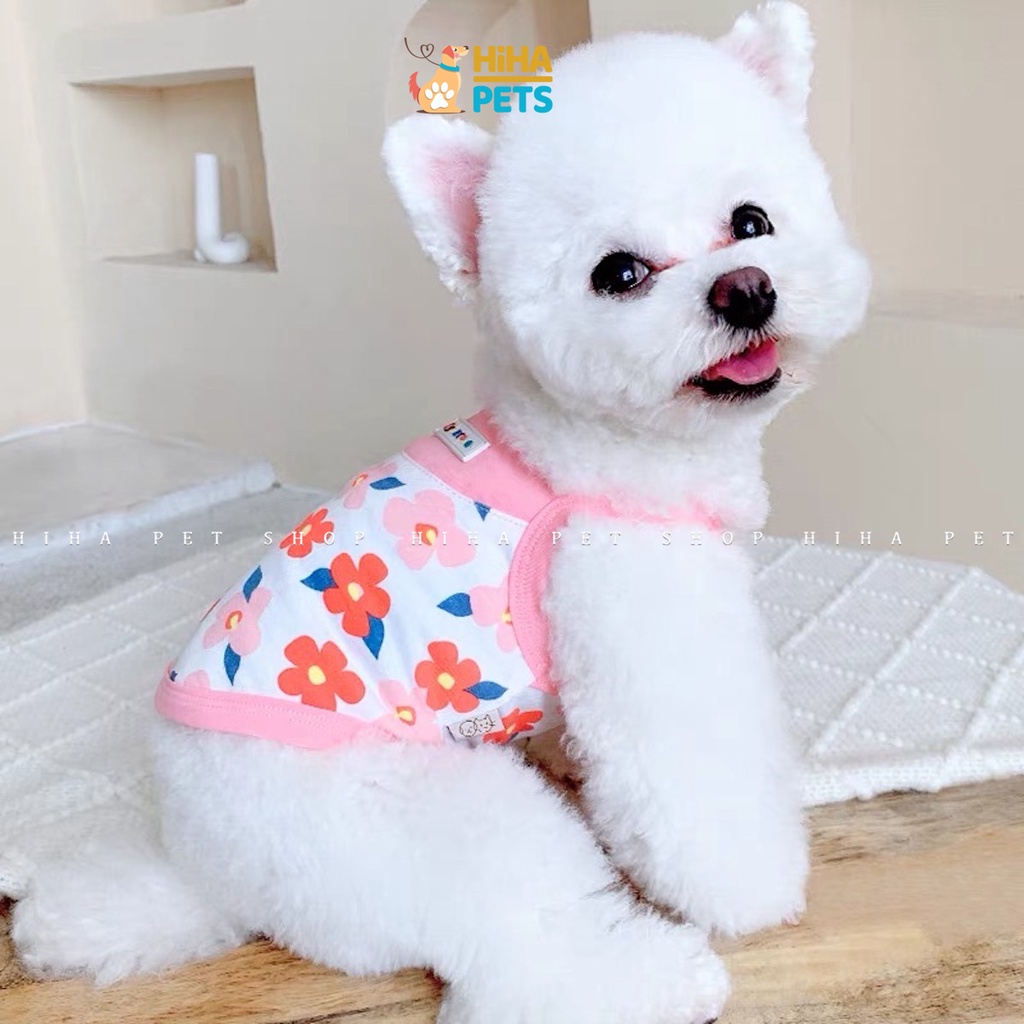 Áo Thun Cho Cún Mèo Vải Thun Cotton 100% Mát Mẻ Dễ Thương Quần Áo Thú Cưng Cao Cấp Mùa Hè 2022 Hihapet.