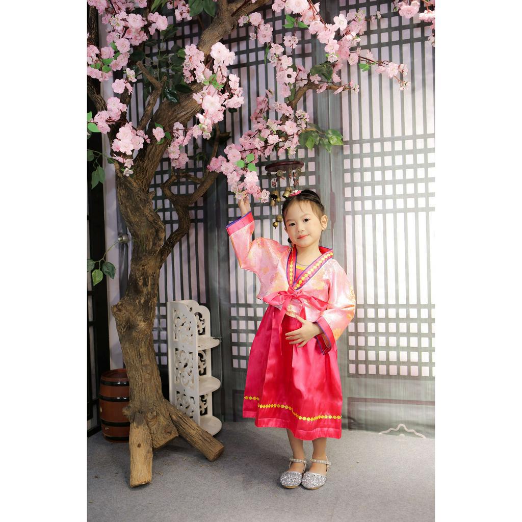 Bộ Hanbok truyền thống cho bé gái AK01