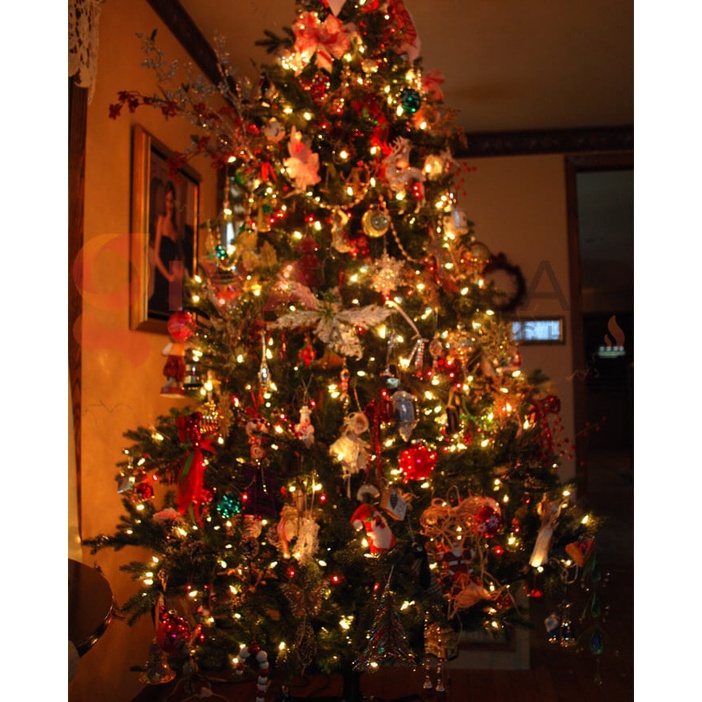 Bộ đèn bóng bi bọt nước dài 10m trang trí cây thông Giáng sinh Noel, trang trí cây mai cây đào Tết