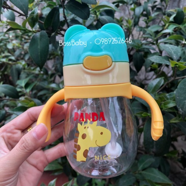 Bình sữa 2in1 Panda - Made in Japan