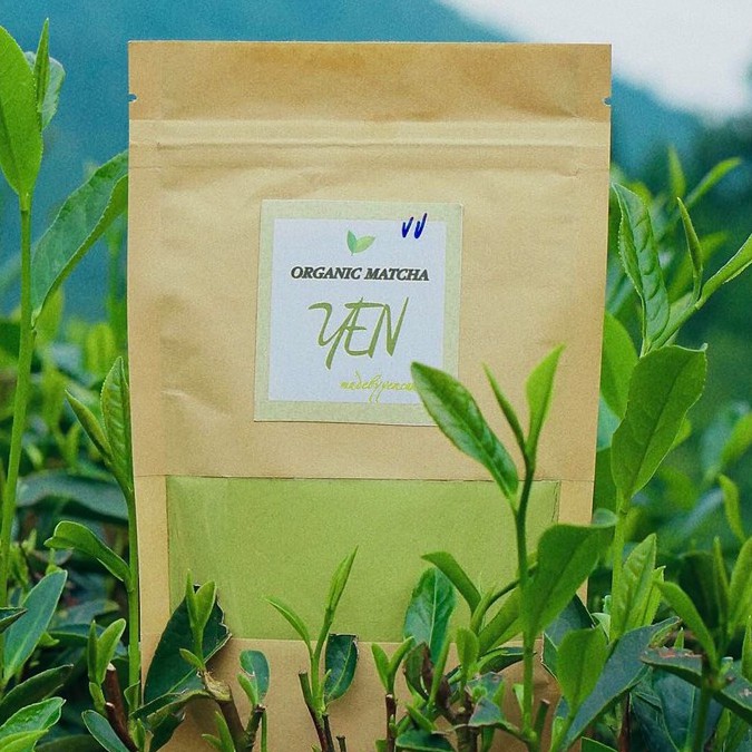 Matcha Bột Trà Xanh Yencanvas nguyên chất tiêu chuẩn VietGap 50g - 100g