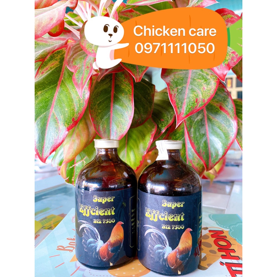 B12 7500 lọ 100ml dành cho gà