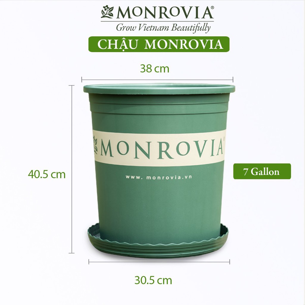 Chậu trồng cây MONROVIA 7 Gallon, cây cảnh mini, trồng rau, hoa, để bàn, treo ban công, nhập khẩu Châu Âu