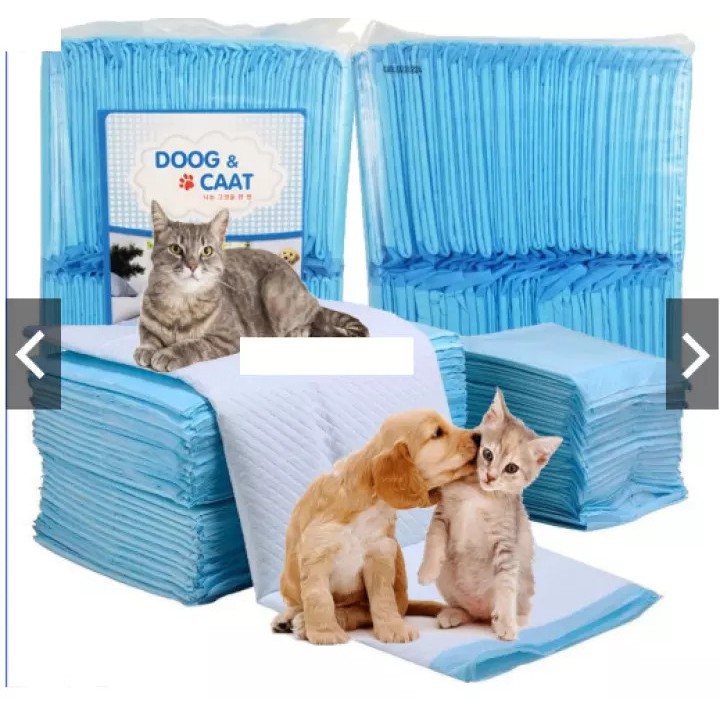 Bịch Miếng Lót Vệ Sinh Chó Mèo (2 size)