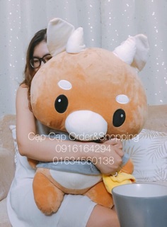 Bò Chăm Chỉ Thư Kí Kim Làm Sao Thế