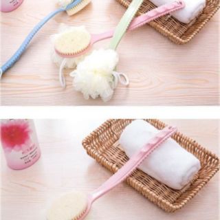 CỌ LƯNG 2 ĐẦU