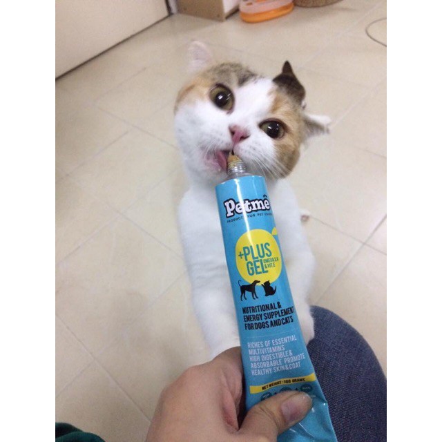 🐶🐱Gel dinh dưỡng Petme Plus Gel dành cho cún mèo💦