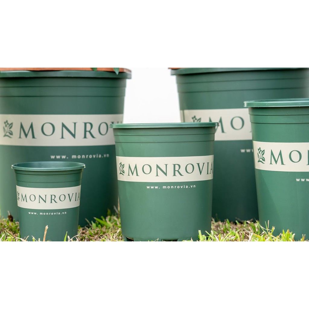 Chậu trồng cây MOROVIA  màu xanh pastel phong cách Châu Âu hiện đại, có lỗ thoát nước, chậu để bàn trồng cây trồng hoa