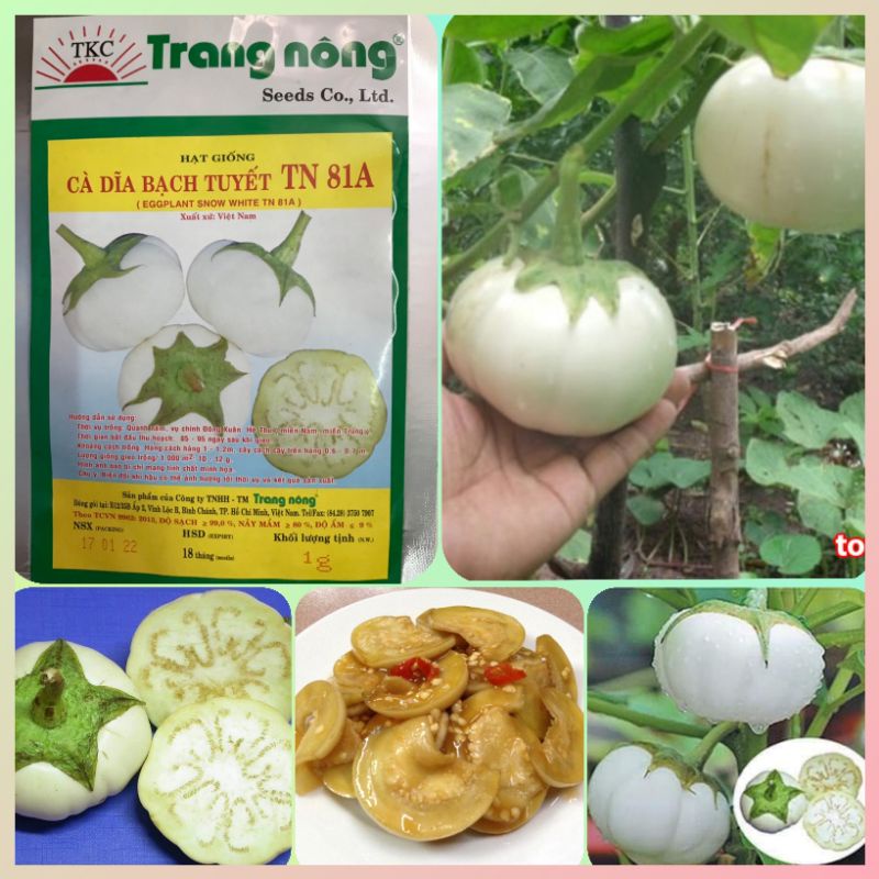 Hạt giống cà bát trắng  Trang Nông  1gr