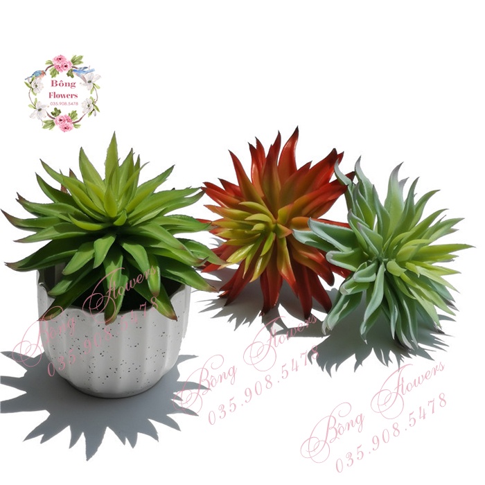 Hoa Giả - Hoa Sen Đá Nhiều Lớp Đường Kính Bông 14 cm