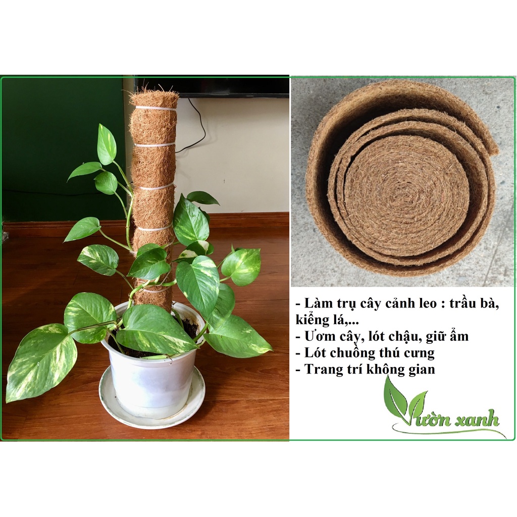 1M Thảm Xơ Dừa Chiều Rộng 20Cm Dùng Phủ Mặt Chậu Cây, Lót Chậu, Làm Trụ Trầu Bà, Lót Chuồng Thú Cưng....
