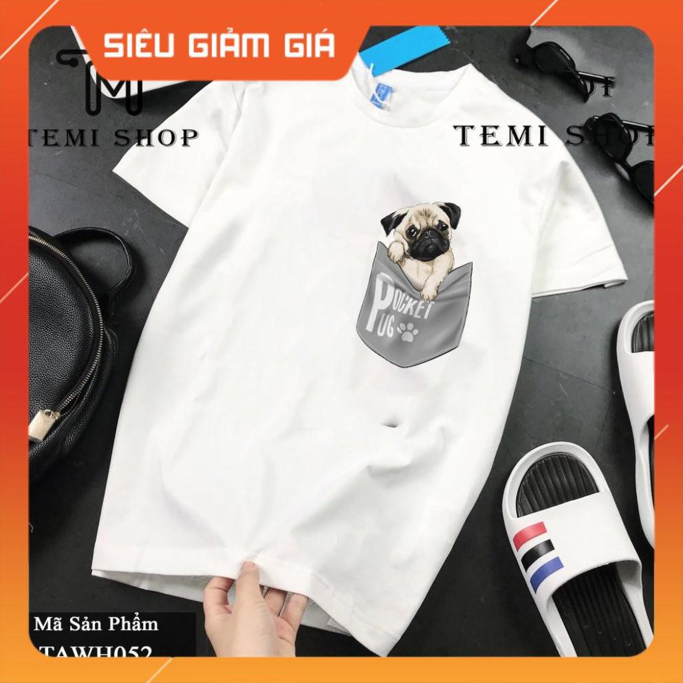 [FREESHIP-ẢNH CHỤP THẬT] ÁO THUN HÌNH CHÓ MẶT XỆ PUG DOG TRONG TÚI _ MÃ 52