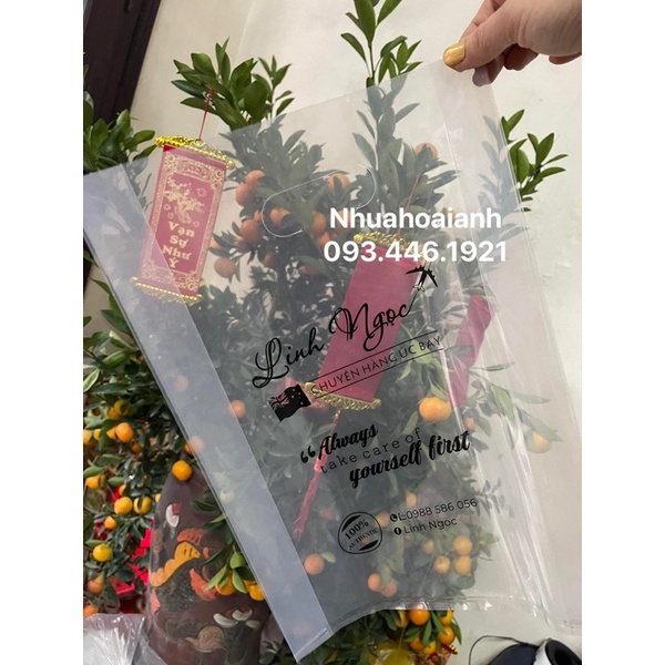 in túi ni lông giá rẻ, lấy nhanh. túi trong suốt hàng loại 1 in theo yêu cầu