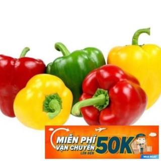hạt giống ớt chuông ngọt 20 hạt MPVC LuckyseadTG