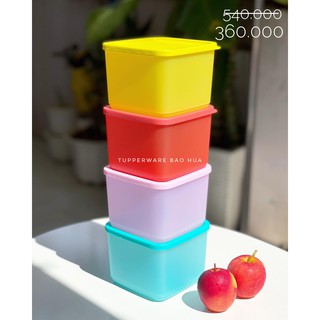 Hộp bảo quản thực phẩm Medium Summer Fresh 1L