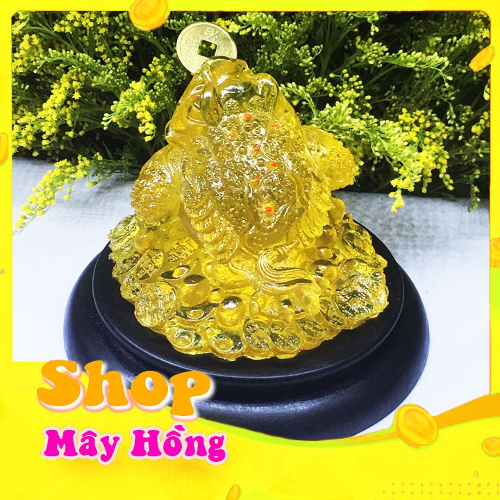 Cóc phong thủy kèm đế - thiềm thừ - cóc ngậm tiền màu vàng chiêu tài , thu hút khách hang trong kinh doanh -