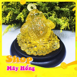 Cóc phong thủy kèm đế - thiềm thừ - cóc ngậm tiền màu vàng chiêu tài , thu hút khách hang trong kinh doanh -