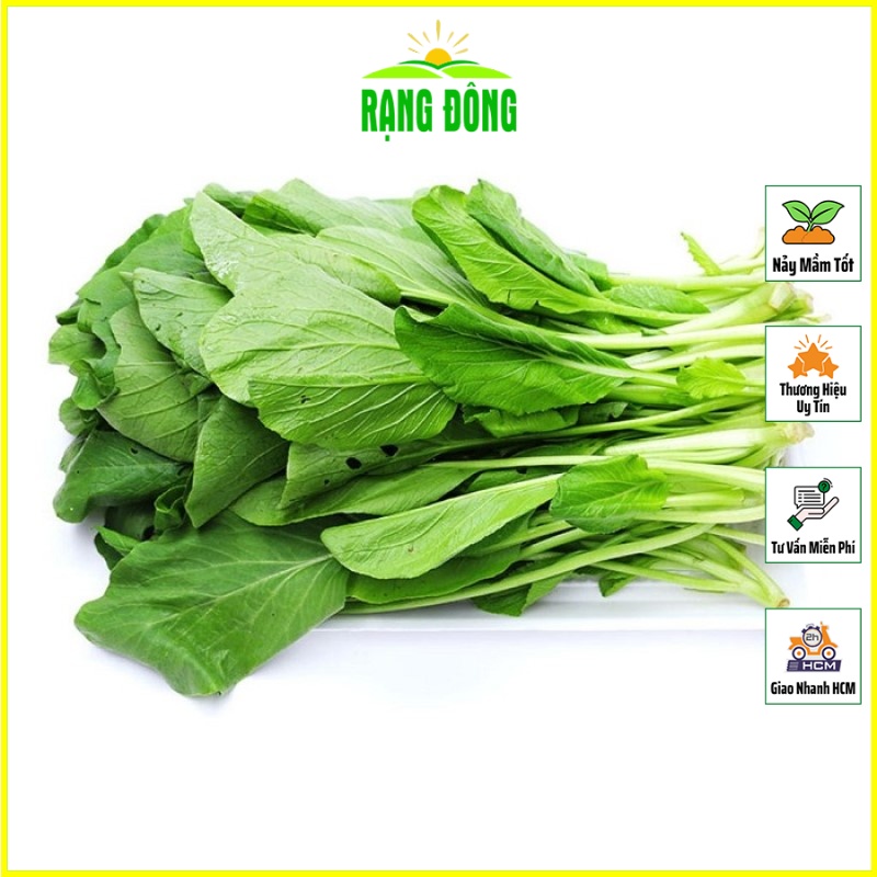 Hạt Giống Cải Ngọt Giòn, Cây To, Năng Suất Cao, Dễ Trồng (gói 20 gram) - Hạt giống Rạng Đông