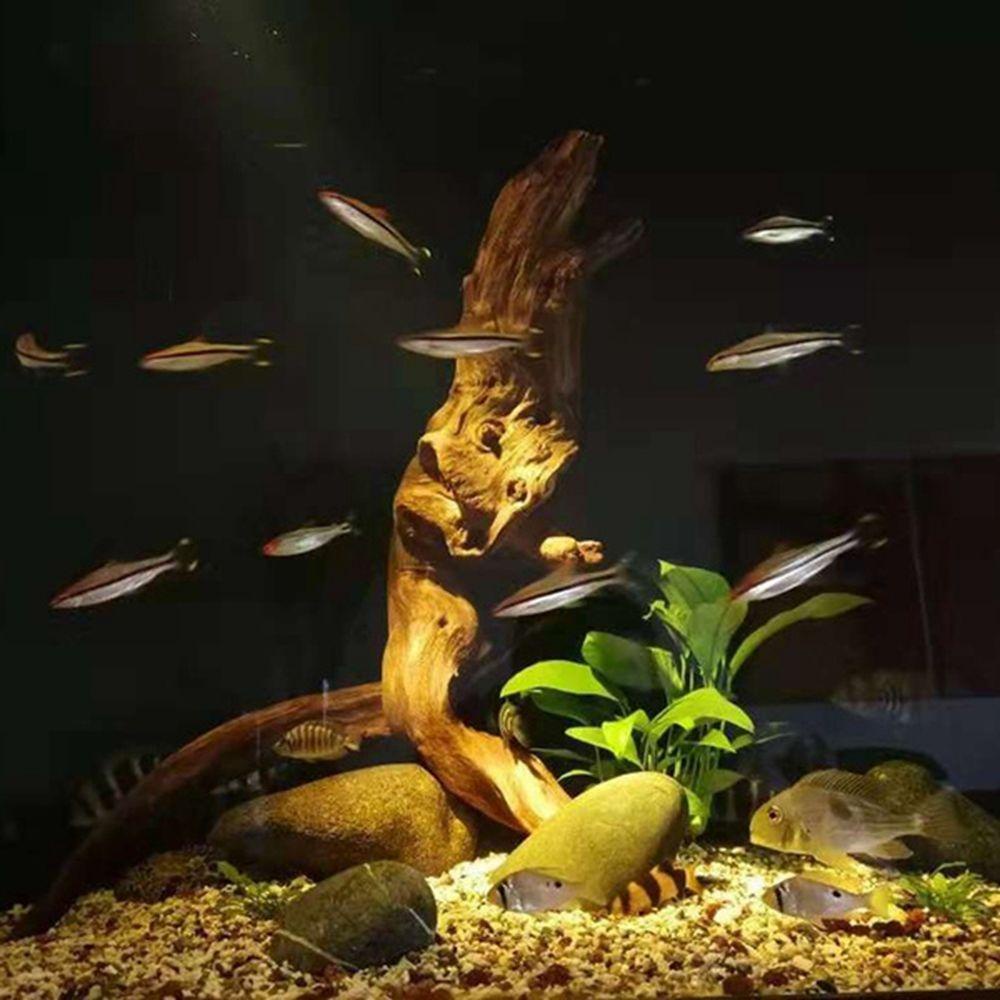 Đèn Chiếu Sáng Bể Nuôi Rùa / Bò Sát Điều Khiển Từ Xa