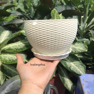 Chậu treo mây nhỏ 15x10 cm (kèm quai treo) nhựa dày sắc sảo
