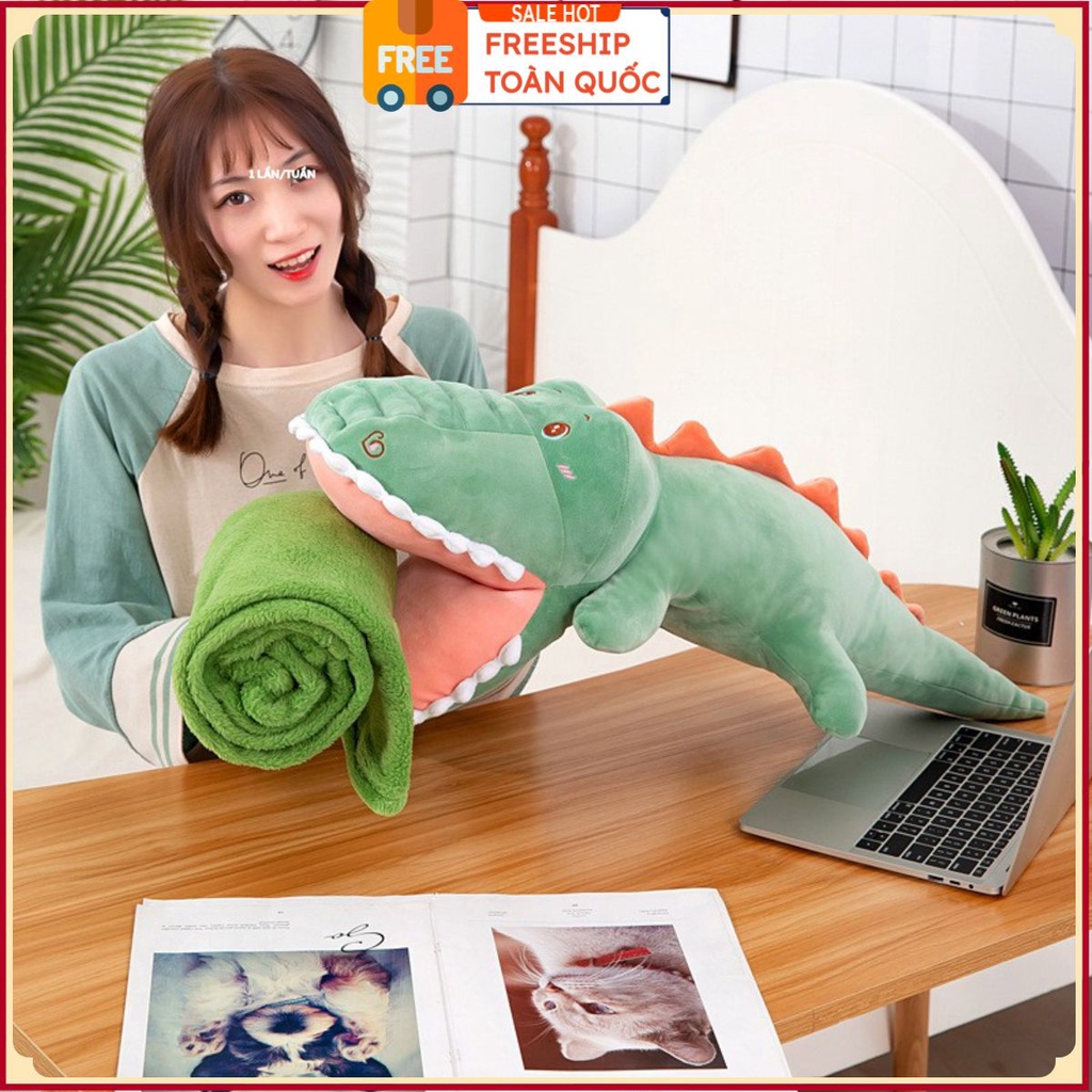 PVN31655 Bộ chăn gối văn phòng cá sấu T2 .