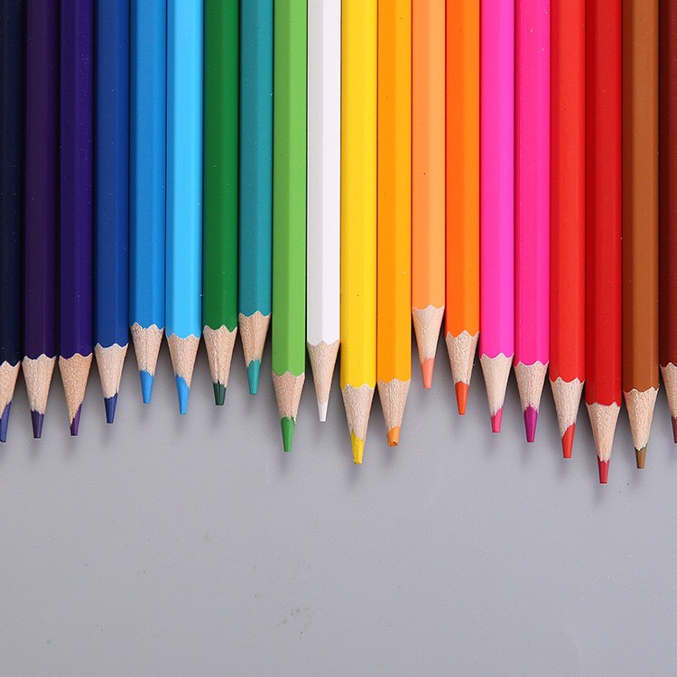 Hộp Bút chì màu - 12 Màu (Chì Cây) - Cây dài - Trang trí