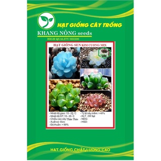 Hạt giống sen đá kim cương mix màu kns3550 - gói 200 hạt