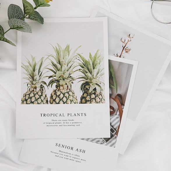 TẤM POSCARD A5 SIÊU ĐẸP