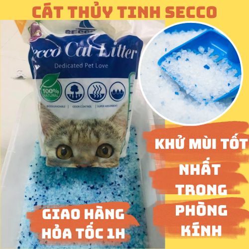 Cát Thủy Tinh Secco 5L Chuyên Khử Mùi Trong Phòng Kín