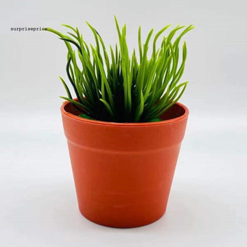 Chậu Cây Bonsai Giả Mini Bằng Nhựa Dùng Trang Trí Nhà Cửa/Văn Phòng