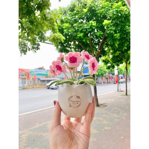 Chậu hoa decor bằng len